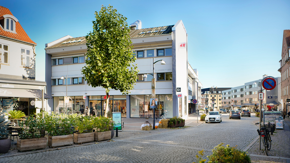 Grønt foran Ahlgade 61-63, 3. sal, nr. 3.8, 4300 Holbæk | Billede til print